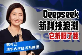 我与DeepSeek相遇在平台图片