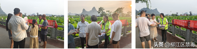 百朋镇荷花文化旅游季：禁毒宣传与美景同行