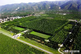 秦始皇陵是从什么时候开始修建的，当时动用了多少人？图片