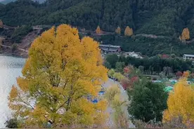 没想到整天被外卖敲门的事情会被我碰上了图片