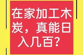 小本投资木炭加工厂，真能月入几万元吗？图片