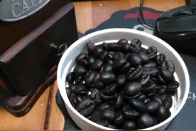 苦练赌术的日子图片