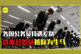 不同国家的公务员工资咋样？印度的待遇最好，日本的最惨图片