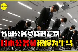 不同国家的公务员工资咋样？印度的待遇最好，日本的最惨图片
