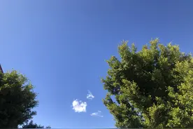 年少无知的时候把嫂子得罪透了，如今再也没有娘家依靠图片