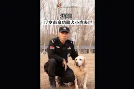 送别！17岁功勋警犬小虎去世图片
