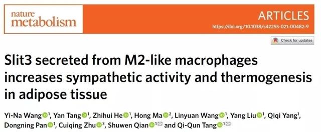 复旦上医11月科研成果一览