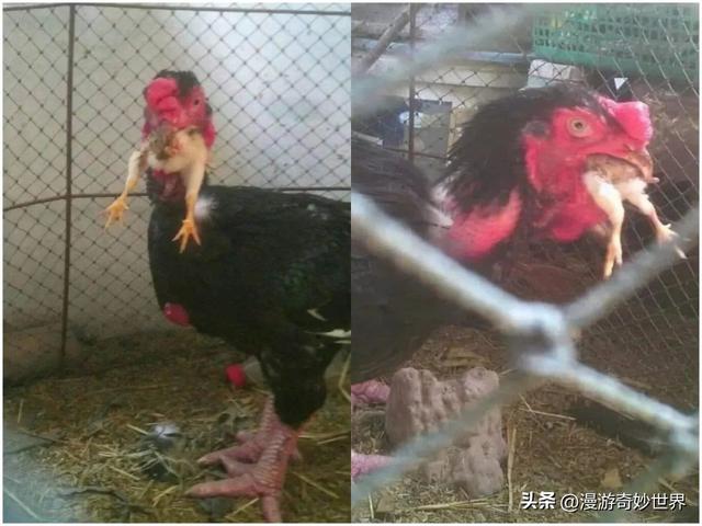 看完这组震撼的图片，才明白大自然有多可怕…