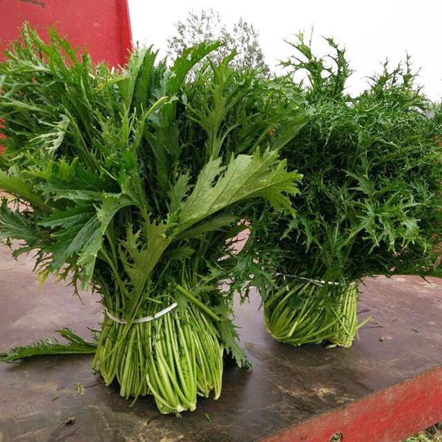 一年四季皆可种植,且它的生长周期短,而且营养丰富(据调查得知,小白菜