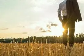 生活这么苦，我们为什么要做人？这篇文章将给你解答图片