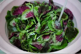 夏天，苋菜这样做最好吃，清淡美味鲜嫩又下饭，营养不流失还简单图片