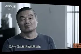 官方首次披露：王三运充当掮客，案发后，胡怀邦心生惶恐图片