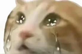 表情包｜眼泪像珍珠，越哭越像猪图片