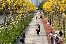 “反者道之动，弱者道之用”是永恒不变的规律吗？图片