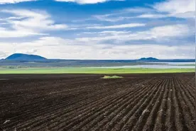 农村土地规定：生不增死不减，没地的人啥时候才分得到土地？图片