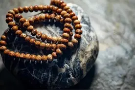 菩提子到底是什么？图片