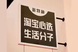 明升暗降，淘宝版“网易严选”沦为天猫陪衬，阿里玩不转精选电商？图片