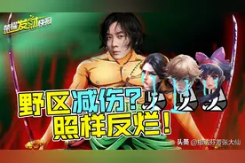 “双刀流”无视野区减伤？野王去世神器！娜可露露都被打哭了图片