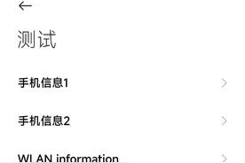 小米手机的神秘代码图片
