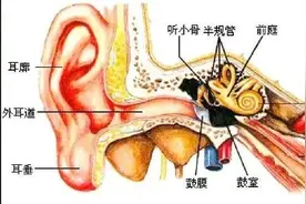 听听噪音，你可以睡得更安详图片