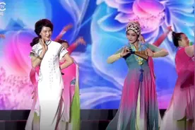 绿色中国行—走进美丽方林公益晚会 于兰 白雪玉婷《梨花颂》图片