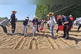 携手责师团队 平谷马坊镇群策群力抓实乡村振兴图片