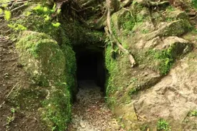 东北老农意外发现日军藏宝洞，日本人得知后要求归还，结局如何？图片