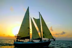 死亡中的自媒体，只能出海图片