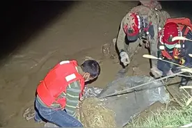 纵身跳下永远定格27岁，你一走了之，想到了父母他们怎么办了吗？图片