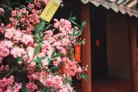 流传千年的8句俗语，话俗理不俗图片