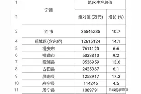 论宁德在宁德时代风光背景下，暗藏的发展危机图片
