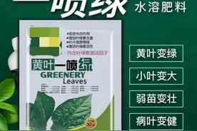 网红叶面肥“一喷绿”，玩的是个套路，不要被名字迷惑而交智商税图片