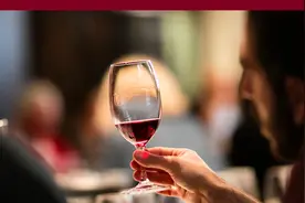 勃艮第产区为何能站在葡萄酒鄙视链的顶端？图片