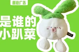 “小趴菜”玩偶火出圈，快手才是真正的玩梗高手吧图片