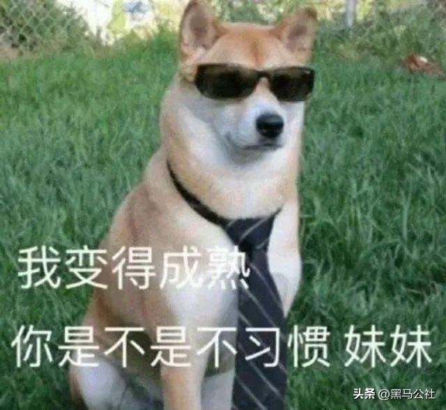 “网络身份证”正式实施！研究了一天后，我觉得……有点东西啊