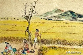 诗文讲古丨《悯农》二首：无论政策怎么变，受苦的始终是农民图片