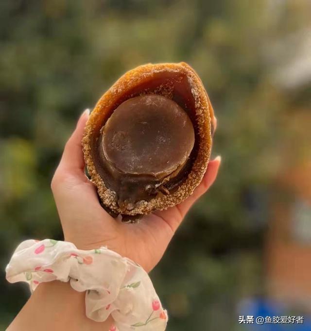 干鲍和花胶哪个级别高 2025年干鲍鱼花胶的家常做法大全