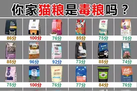 快不要再喂自家猫咪这些粮了！它们上了猫粮黑榜图片