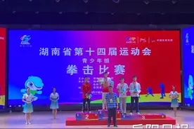 青少年组拳击比赛收官，岳阳市代表队勇夺3金图片