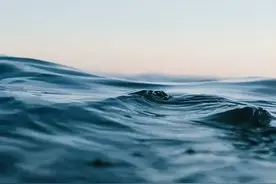 快来查收世界海洋日暨全国海洋宣传日海报→图片