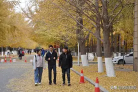 辽宁大学刘巍荣获全国“最美辅导员”称号：10万公里家访路，做好大学生“领航员”图片