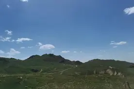 “正月的猪，五月的牛”图片