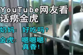 和金虎聊天的奶妈是谁？她还饲养金虎吗？图片