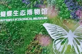 成都市最大校内蝴蝶生态博物馆亮相图片