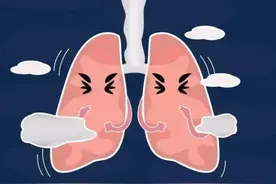 两味药，善于解决“风邪”，在肺病的治疗中应用广泛！图片