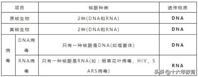 高中生物三年必背知识最全汇总（建议打印）