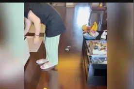 上海一女子在家搞卫生，养16年的乌龟寸步不离，网友羡慕：好黏人图片