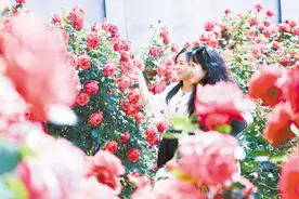 广阳：“美丽产业”点亮绿色发展路图片