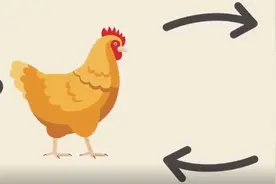 先有鸡还是先有蛋，答案可能出乎你的意料！图片