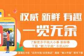 中共平南县委讲师团公开招调工作人员公告图片